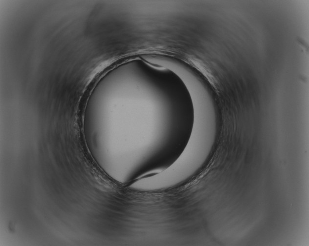 X0000091521308200709071007