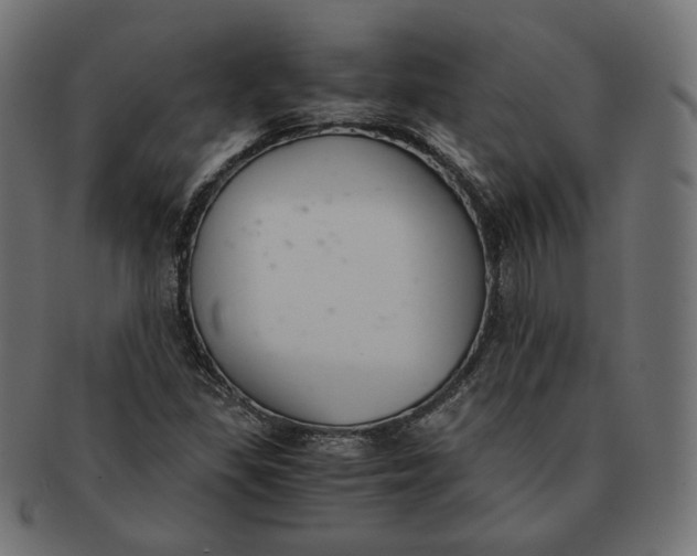 X0000091521309200709071007