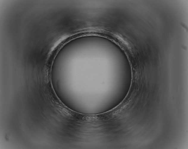 X0000091521310200709071007