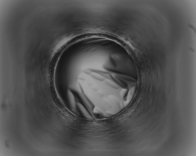 X0000091521311200709071007