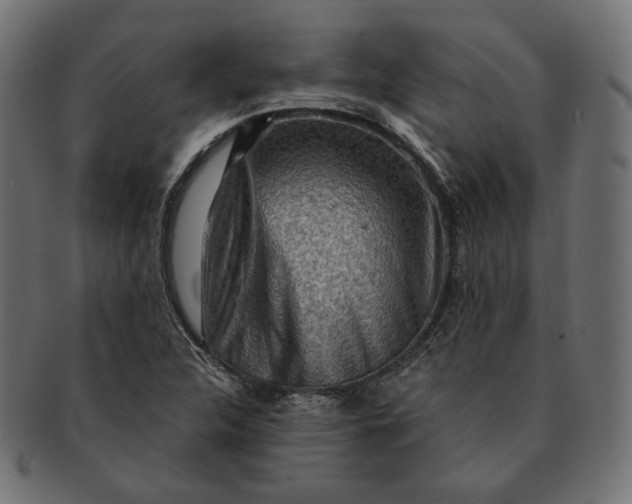 X0000091521312200709071007