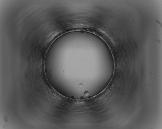 X0000091521313200709071007