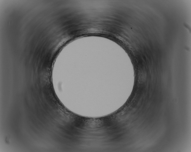 X0000091521314200709071008