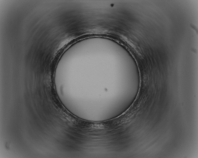 X0000091521315200709071008