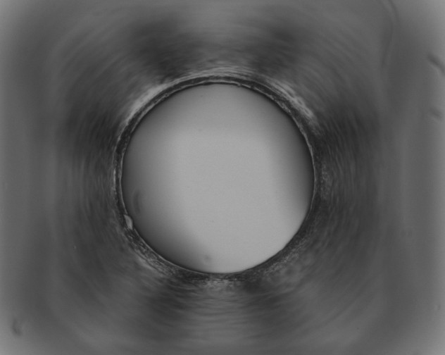 X0000091521316200709071008