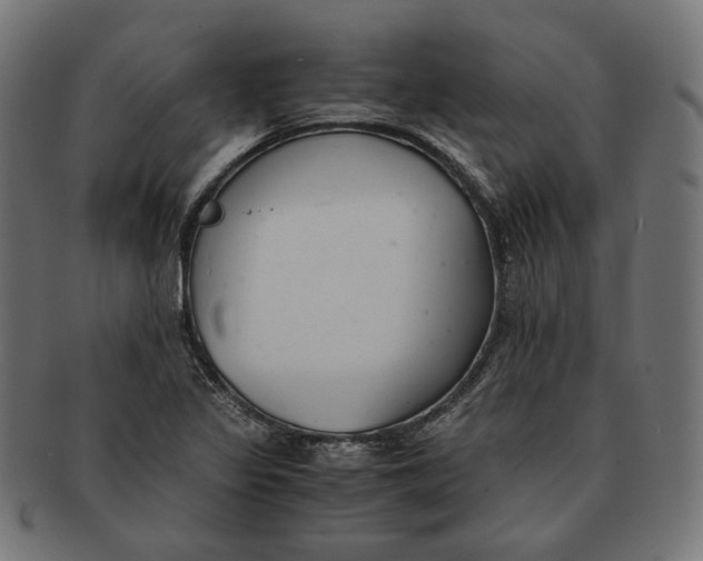 X0000091521317200709071008