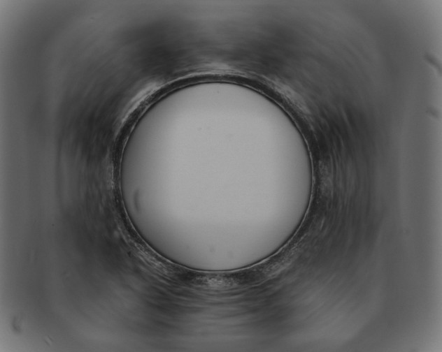 X0000091521318200709071008