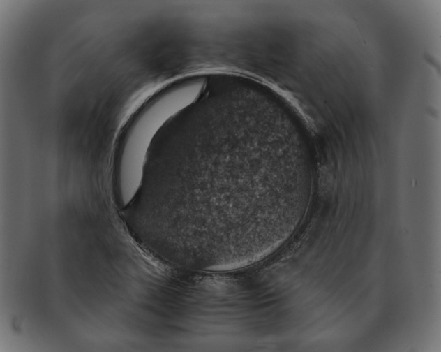 X0000091521319200709071008