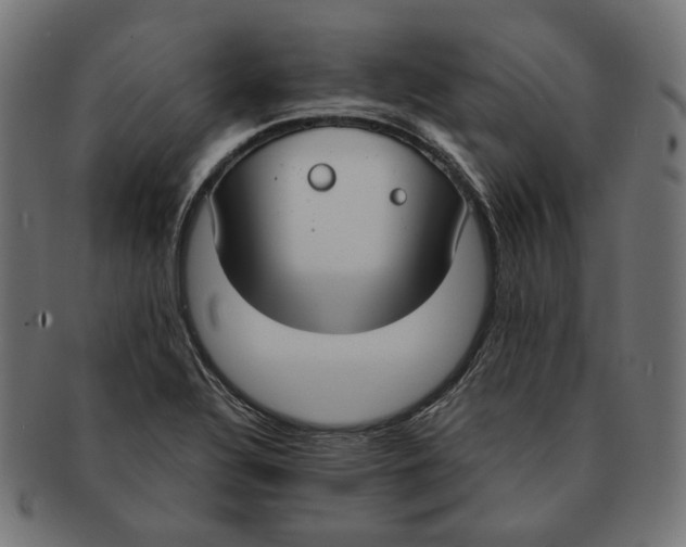 X0000091521320200709071008