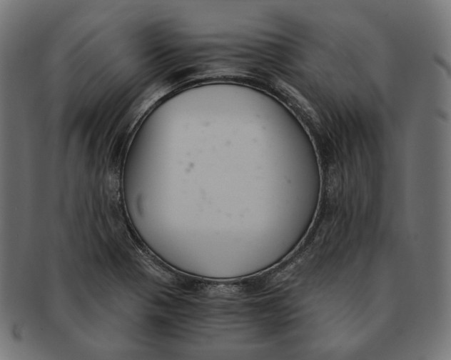 X0000091521321200709071008