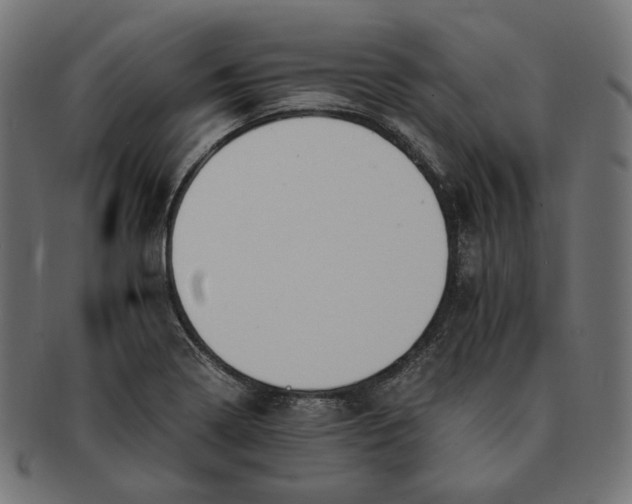 X0000091521322200709071008