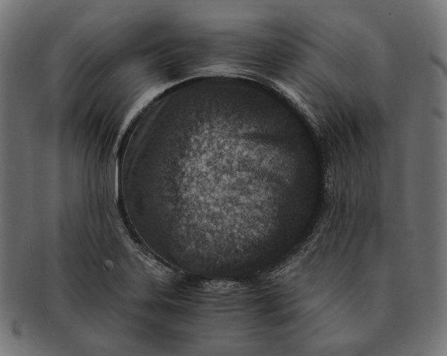 X0000091521323200709071008