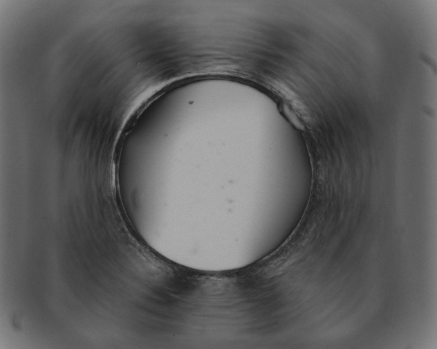 X0000091521324200709071008