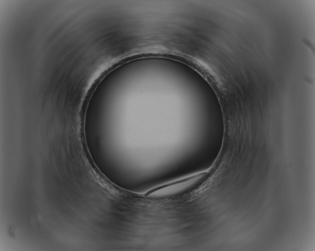 X0000091521326200709071008