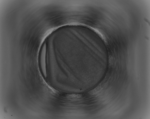 X0000091521327200709071008