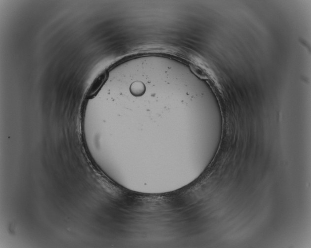 X0000091521328200709071008