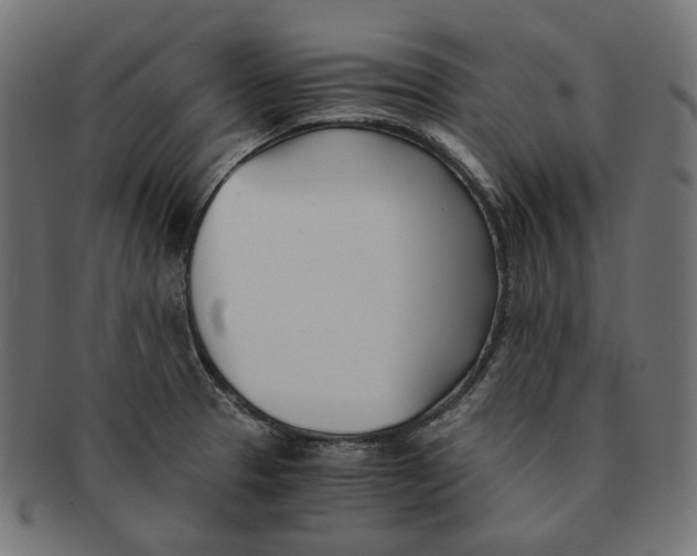 X0000091521329200709071008