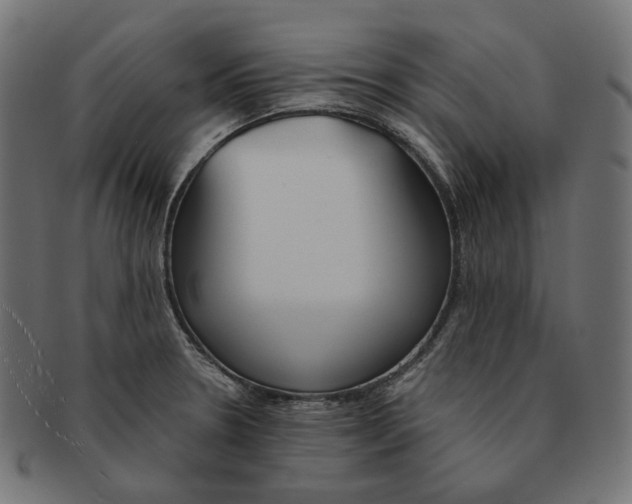 X0000091521330200709071008