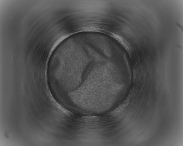 X0000091521331200709071008