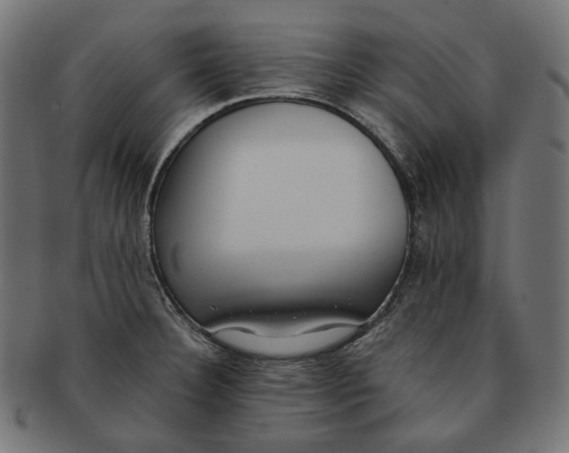 X0000091521332200709071008