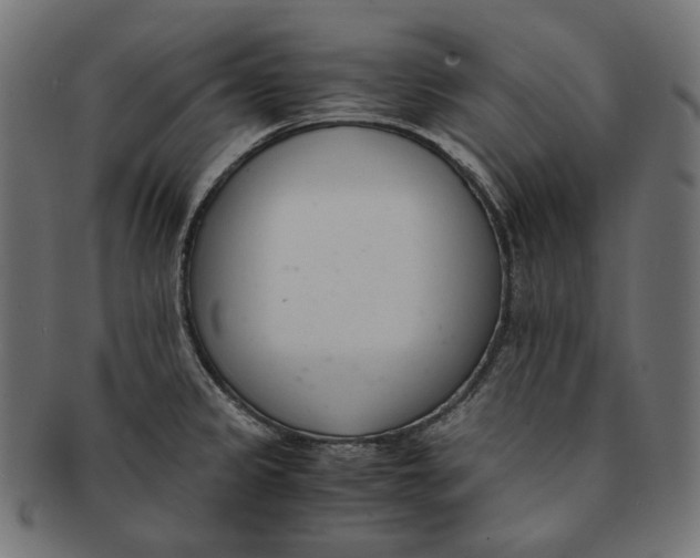 X0000091521333200709071008