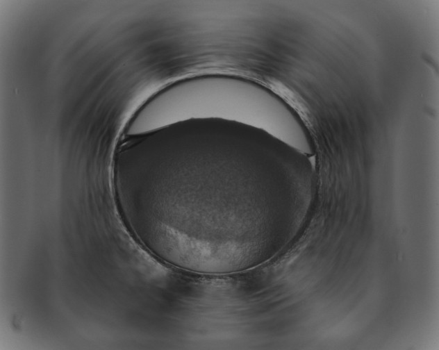 X0000091521334200709071008