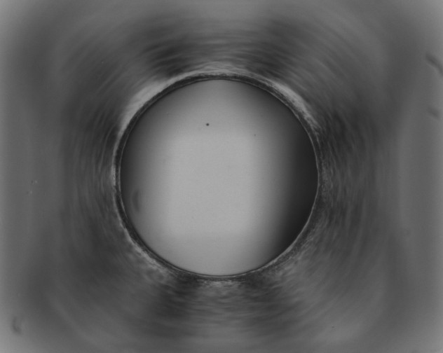 X0000091521335200709071008