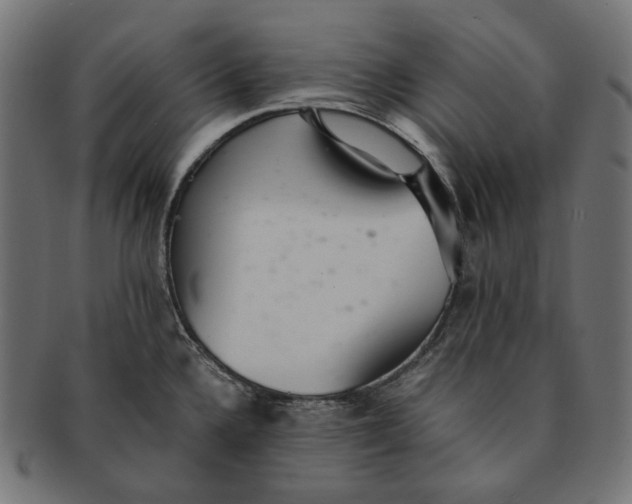 X0000091521336200709071008