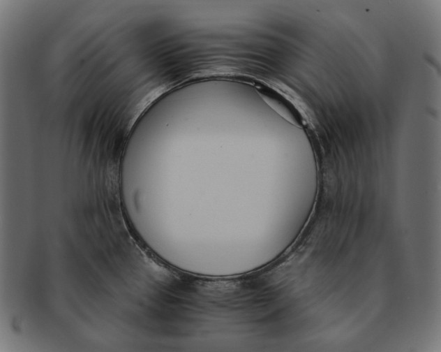 X0000091521337200709071008