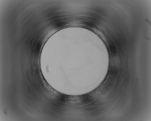 X0000091521338200709071008