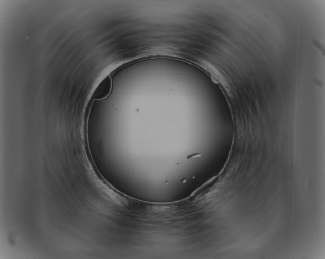 X0000091521339200709071008