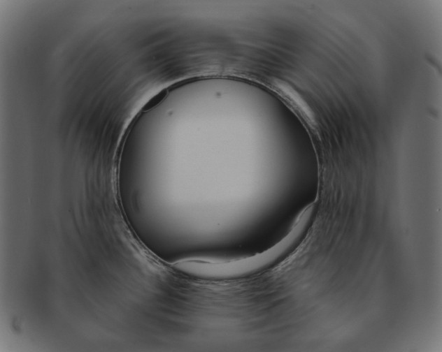 X0000091521340200709071008