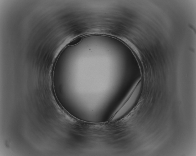 X0000091521341200709071008