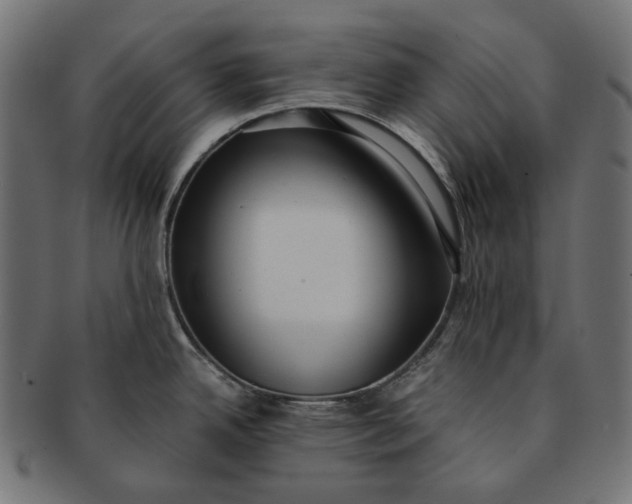 X0000091521342200709071008