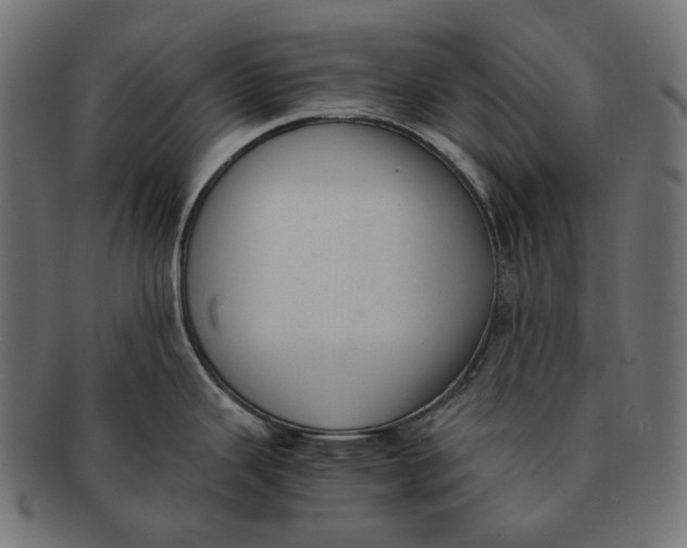 X0000091521343200709071008