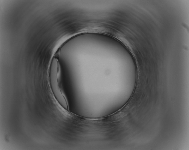 X0000091521344200709071008