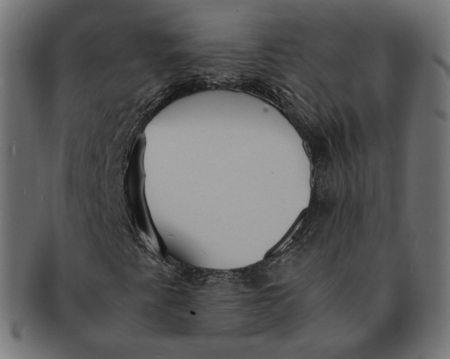 X0000091521345200709071007