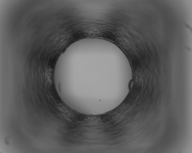 X0000091521346200709071007