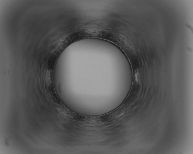 X0000091521347200709071007