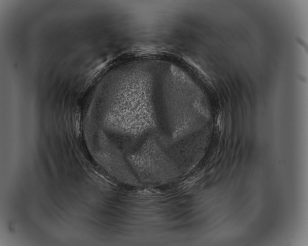 X0000091521348200709071007