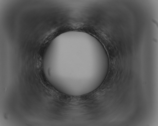 X0000091521349200709071007