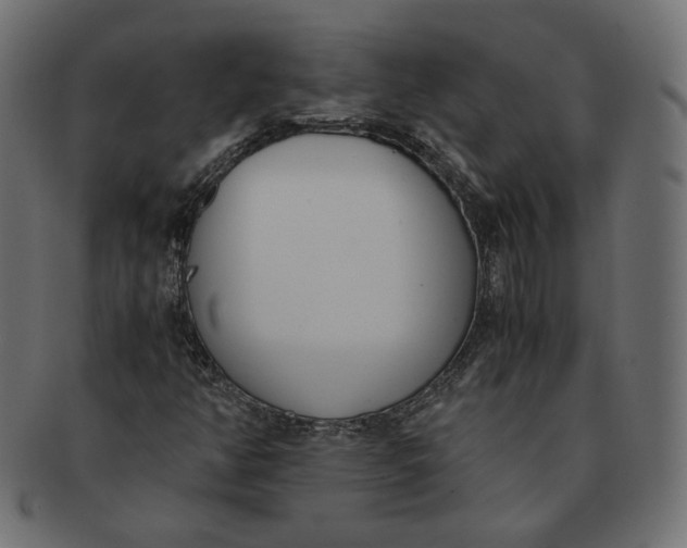 X0000091521350200709071007