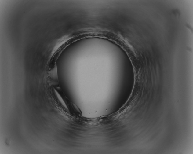 X0000091521352200709071007