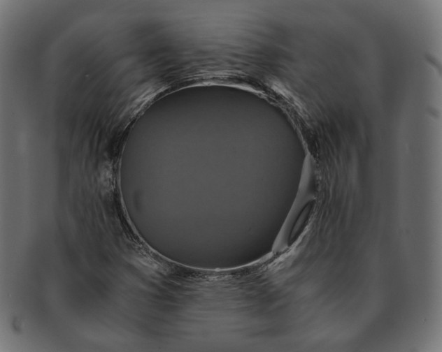 X0000091521353200709071007