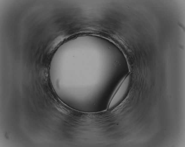 X0000091521355200709071007