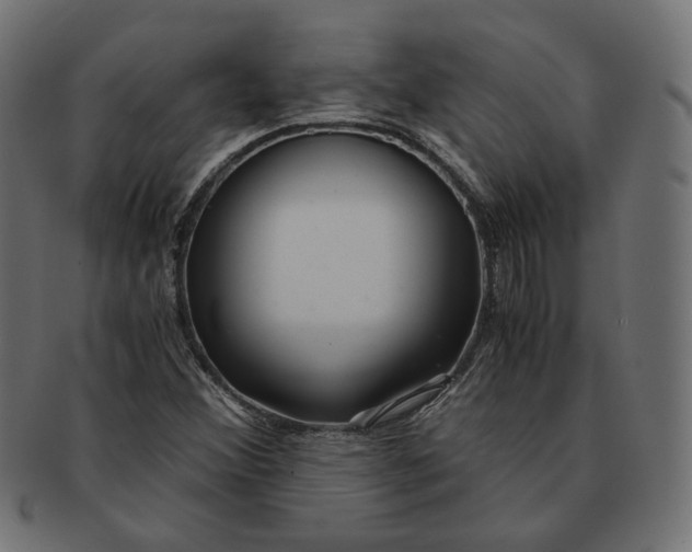 X0000091521356200709071007