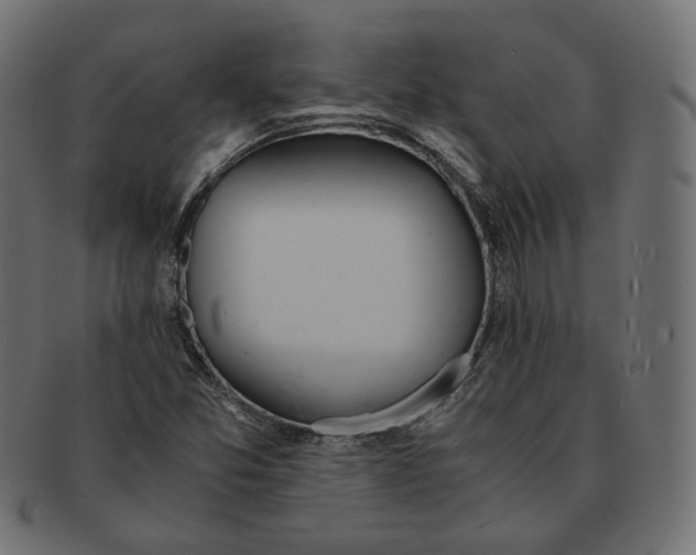 X0000091521357200709071007