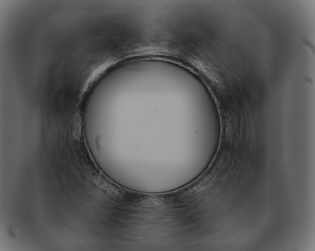 X0000091521358200709071007