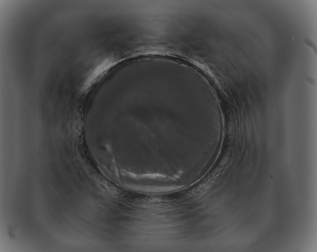 X0000091521359200709071007