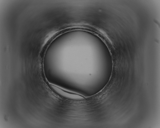 X0000091521360200709071007